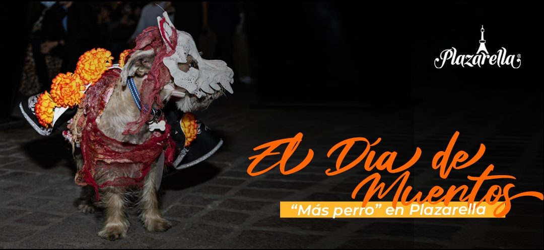 El Día de Muertos “más perro” en Plazarella